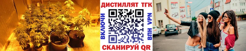 Дистиллят ТГК THC oil  наркошоп  omg маркетплейс  Пошехонье 