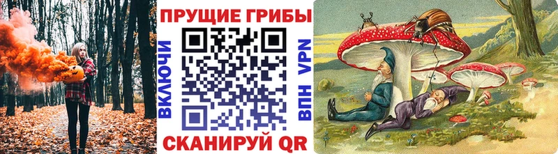 Галлюциногенные грибы мухоморы  Пошехонье 